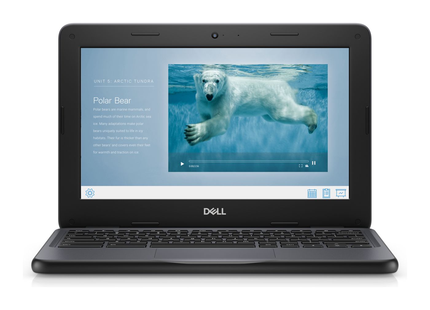 Dell Chromebook 3100